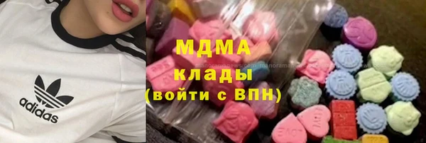 apvp Алзамай