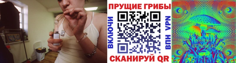 Галлюциногенные грибы Psilocybe  кракен зеркало  Алушта 